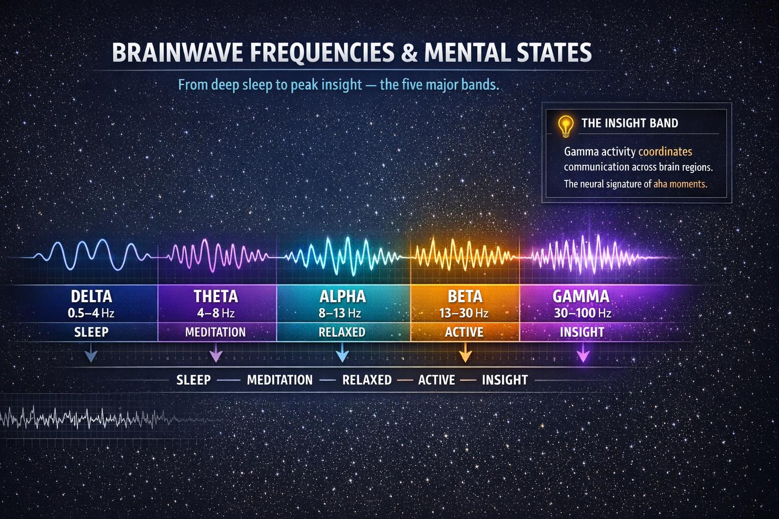 Gamma Waves, Insight, and Peak Cognitive Performance